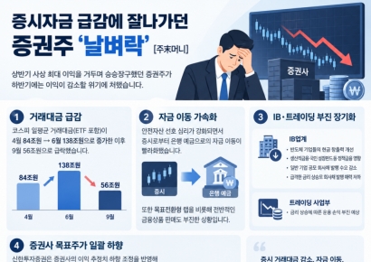 석달새 138조→56조 급감…'날벼락'맞은 이 주식 [주末머니]