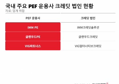 VIG 이어 스틱인베, 크레딧 분사…전문화 속 효율성 관건