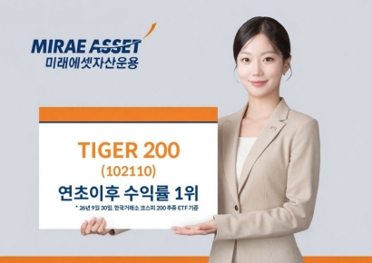 'TIGER 200', 코스피200 ETF 중 연초 이후 수익률 1위