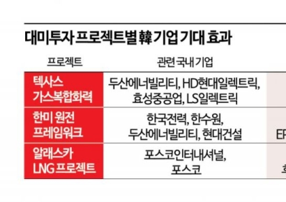 기업들, 중장기 사업+美 교두보 기회…파트너십·공급망 등 과제