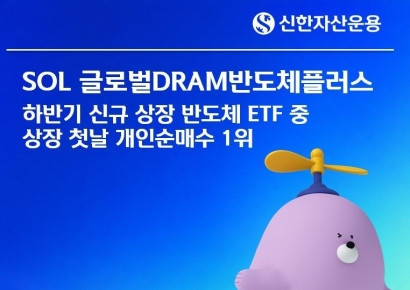 'SOL 글로벌DRAM반도체플러스', 하반기 상장 반도체 ETF 중 첫날 개인순매수 1위