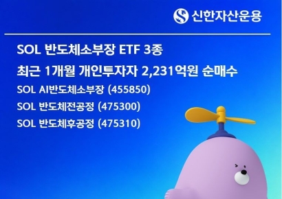 'SOL 반도체 소부장' ETF 3종, 최근 1개월 개미 2231억원 순매수