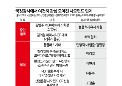 국감 증인대서 사라진 사모펀드…질타는 여전