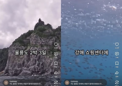 "30명 감금·30만원 강매" 울릉도 발칵…경찰 확인하니 신고조차 없었다